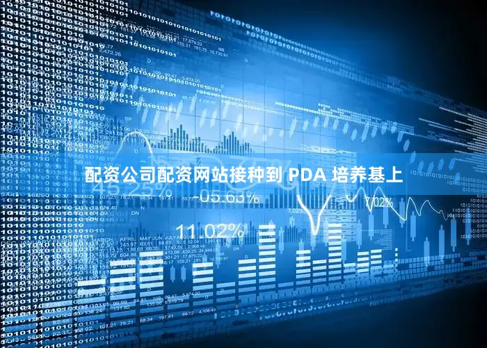 配资公司配资网站接种到 PDA 培养基上