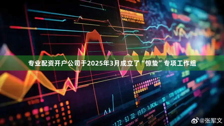 专业配资开户公司于2025年3月成立了“惊蛰”专项工作组